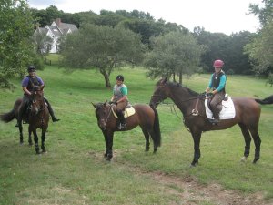 Ledyard Farm, Fall 2013