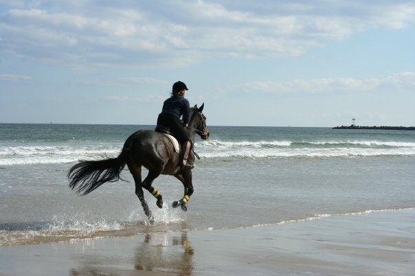 LeeBeach2008