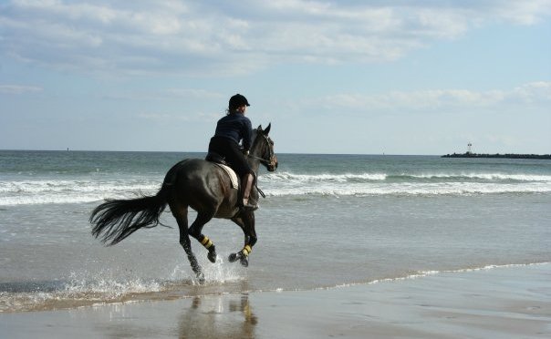 Reflections on Gratitude, Part II