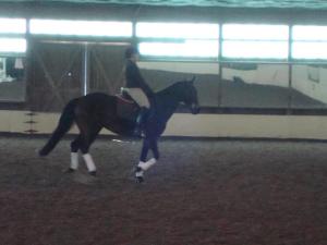 The Dark Mare at a dressage clinic, 2011