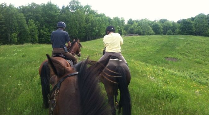 Book Review: Fit To Ride in 9 Weeks