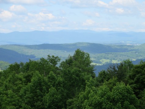 TamarackHack2014 008