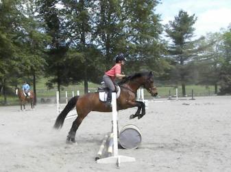 Being brave over the barrel (2014).