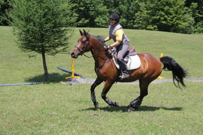 Schooling on Tamarack's course, 2014 (photo courtesy of Dr. Pat Erickson)