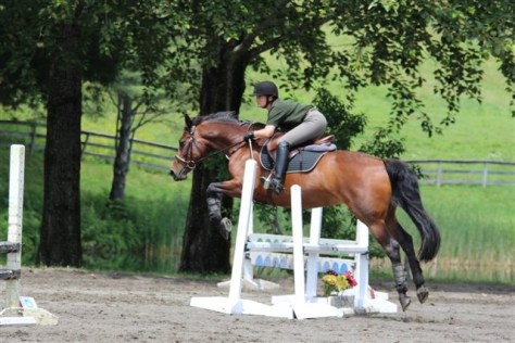 Anna at the July 2014 Tamarack Hill Jumper Show