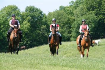 Hacking out with friends to loosen up prior to a cross country school at Tamarack, 2012.