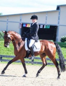 David Collins riding Bojing (unattributed but taken from his website, www.centerlinestables.org).