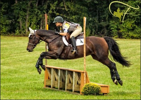 Anna at King Oak Farm, September 2014.  Photo courtesy of Flatlandsfoto/Joan Davis and used with permission.