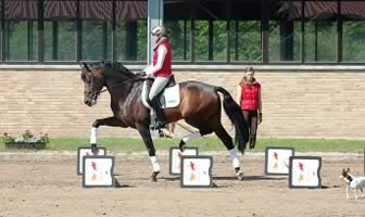 Book Review:  Cavaletti for Dressage and Jumping