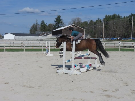 Anna took great offense to these fake flowers at first!