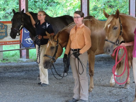 Distance Days 2015 Lee's 100 025