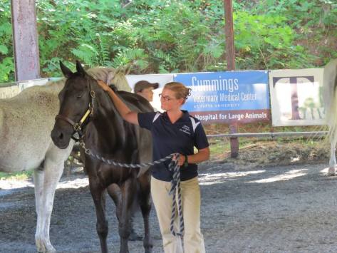 LeeatAwardsCeremony2015DistanceDays