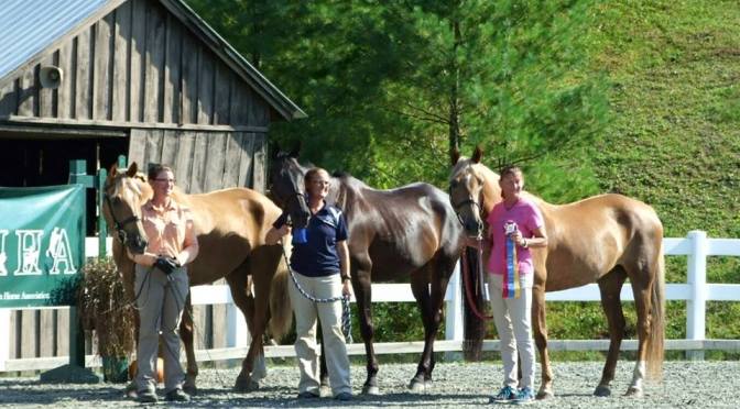 A Journey of a Thousand Miles…or One Hundred