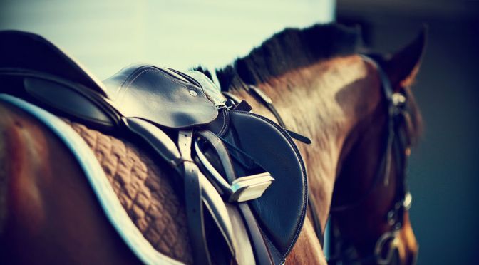 Hilary Clayton:  Biomechanical Interactions Amongst the Rider, the Tack and the Horse