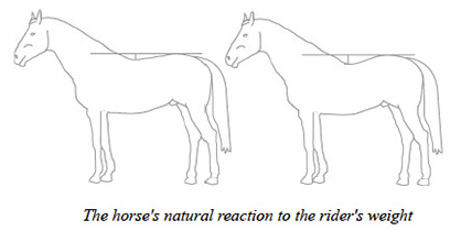 horsereactiontoweight