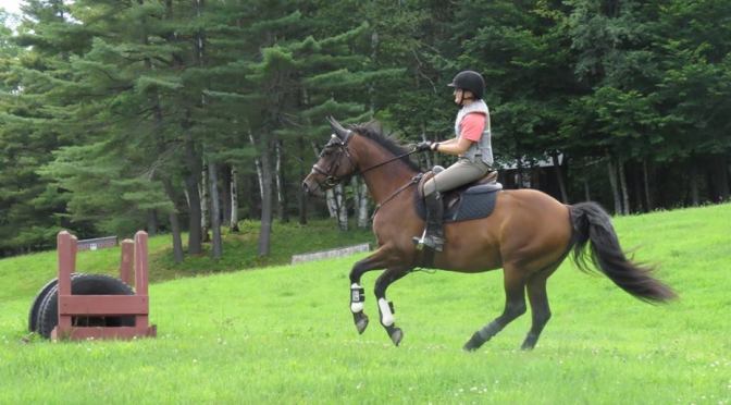 Motivating the Lazy Equine Athlete