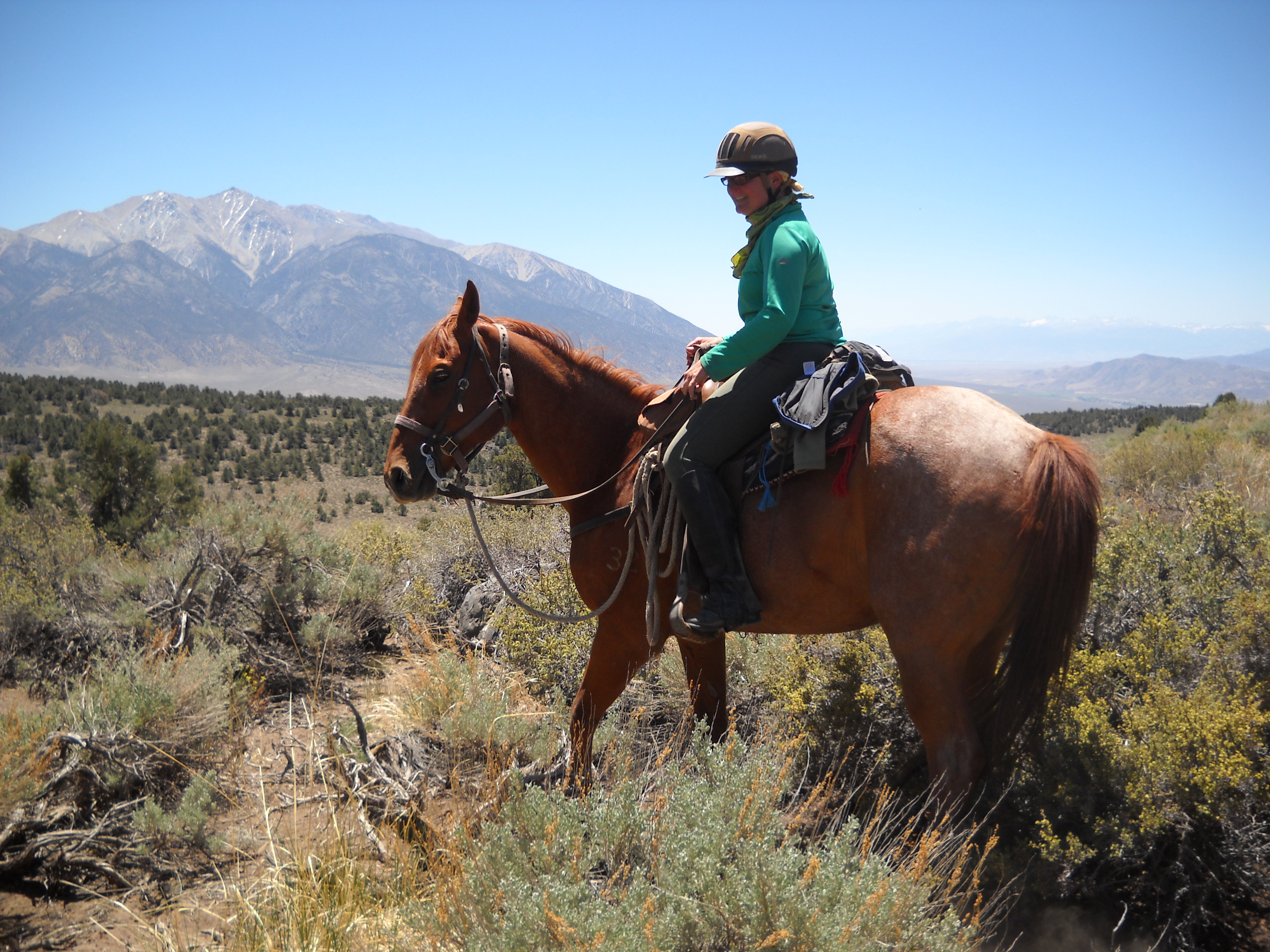 Nevada and Eastern California 2012 582