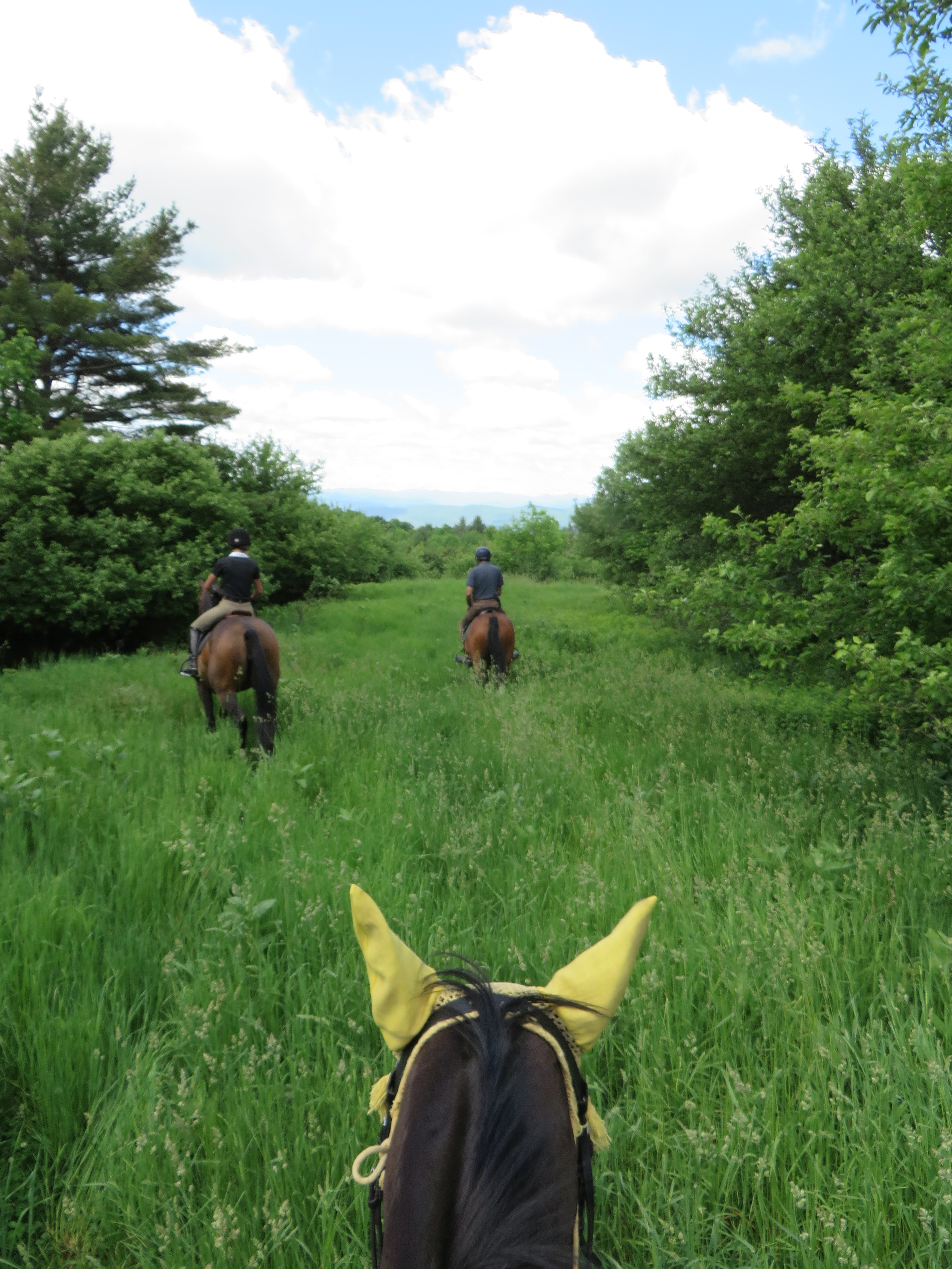 TamarackHack2014 003