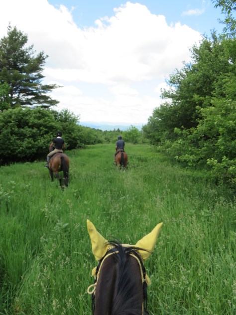 TamarackHack2014 003