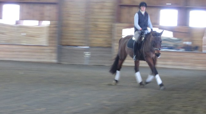 Improving Balance in the Non Traditional Dressage Horse: a ride with Jen Verharen