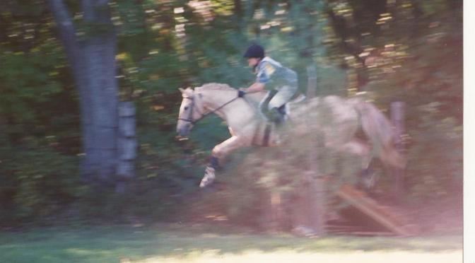 Reflections on Gratitude: Part III