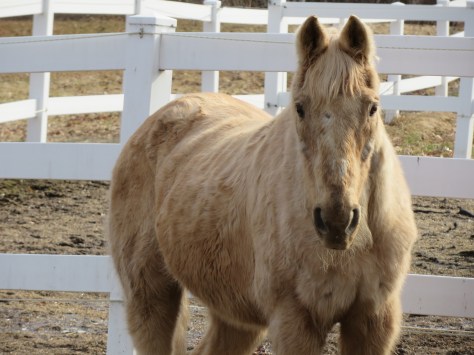 March and April 2015 050.JPG