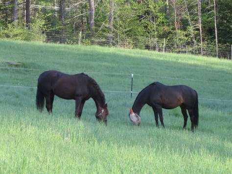 Marquesa comes to Cold Moon 019.JPG