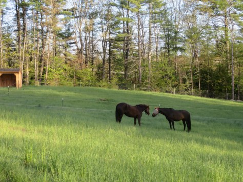 Marquesa comes to Cold Moon 020