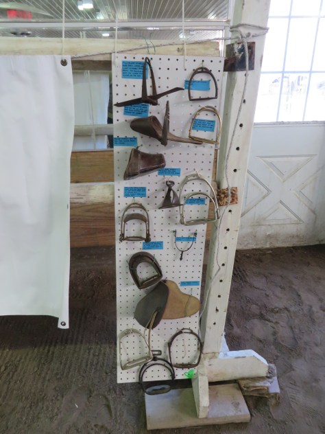 Zones 2016 and Side Saddle 008.JPG