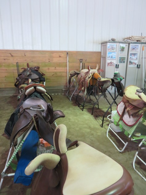 Zones 2016 and Side Saddle 010.JPG