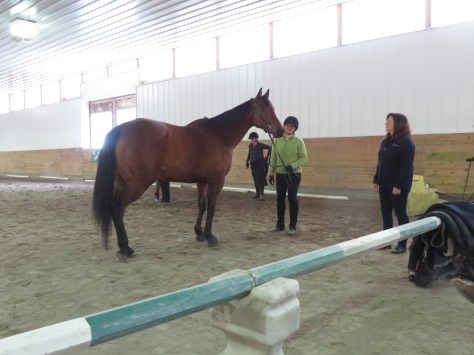 Zones 2016 and Side Saddle 085.JPG