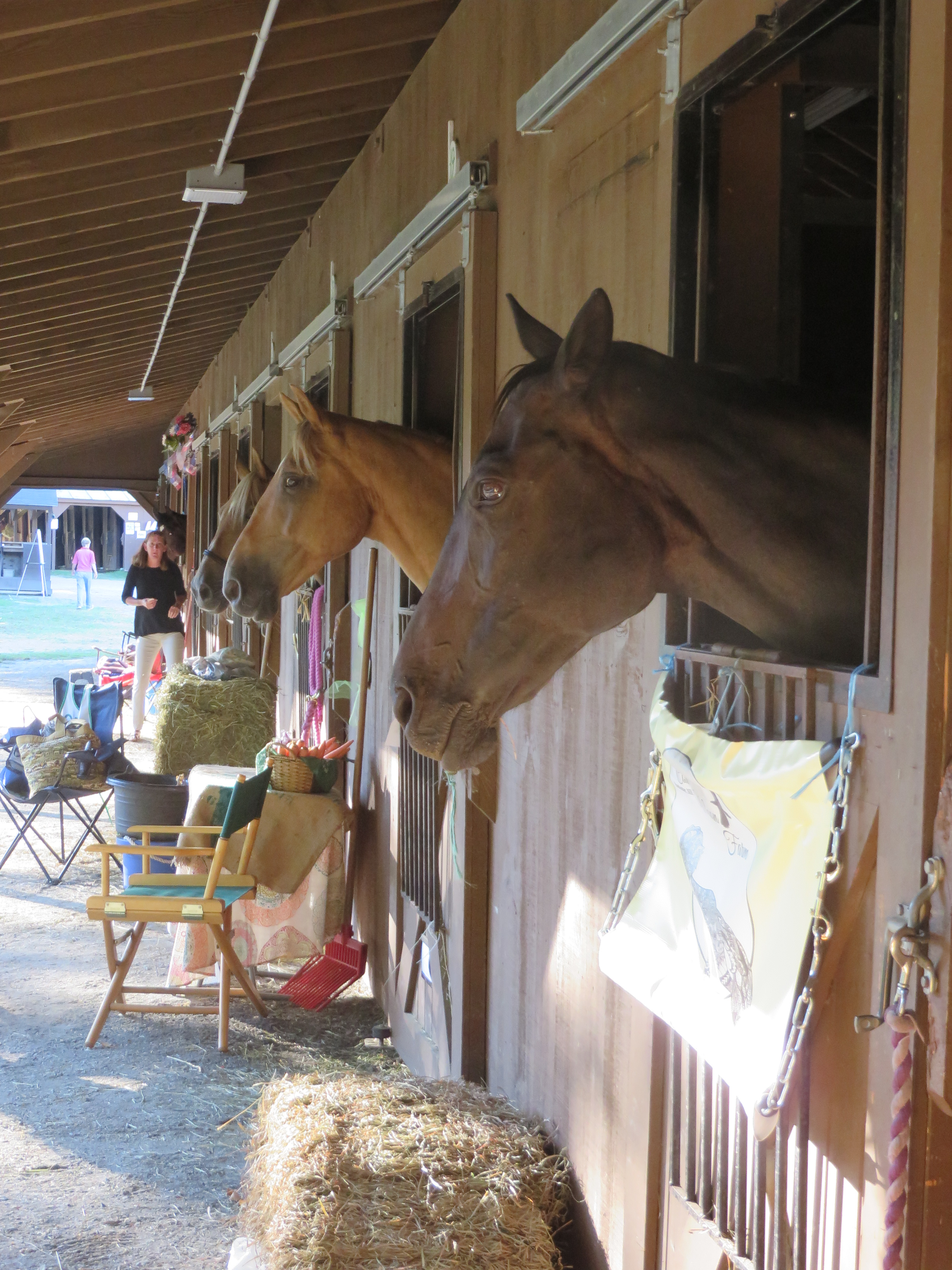 Distance Days 2016 009.JPG