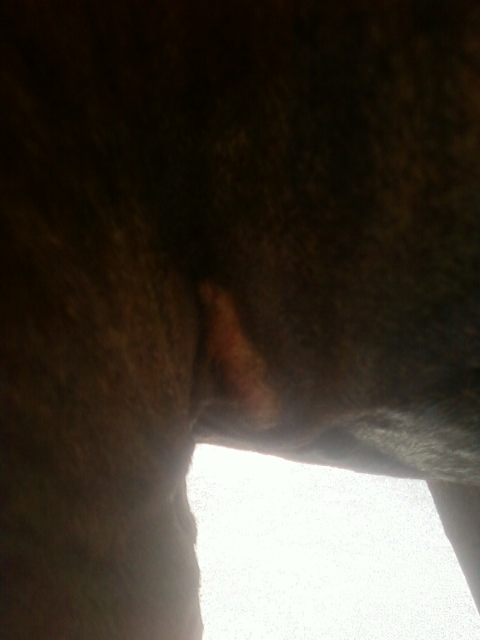 From Solstice 075.jpg