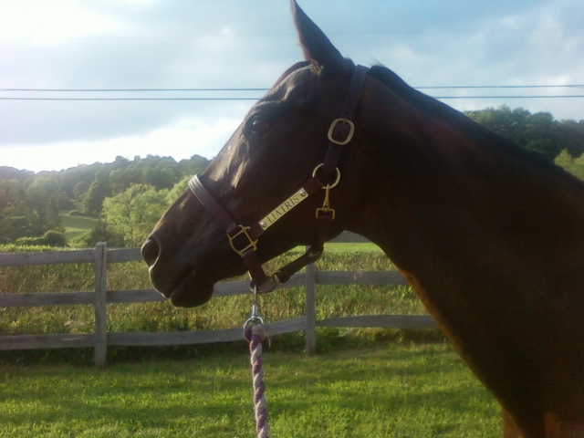 From Solstice 079.jpg