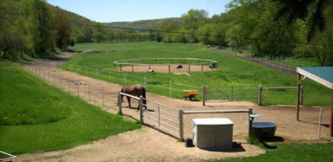 paddockparadisesustainablestables.jpg