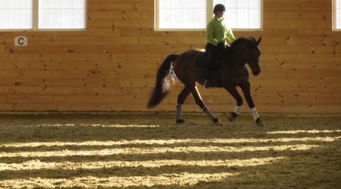 Book Review: Ridden: Dressage from the Horse’s Point of View
