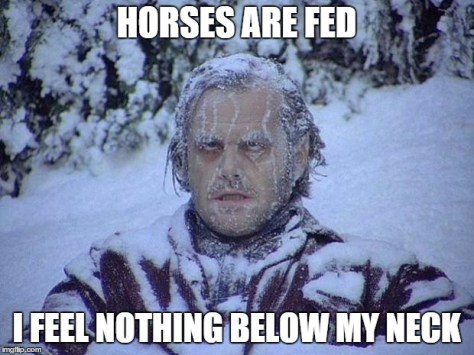 horsesfed