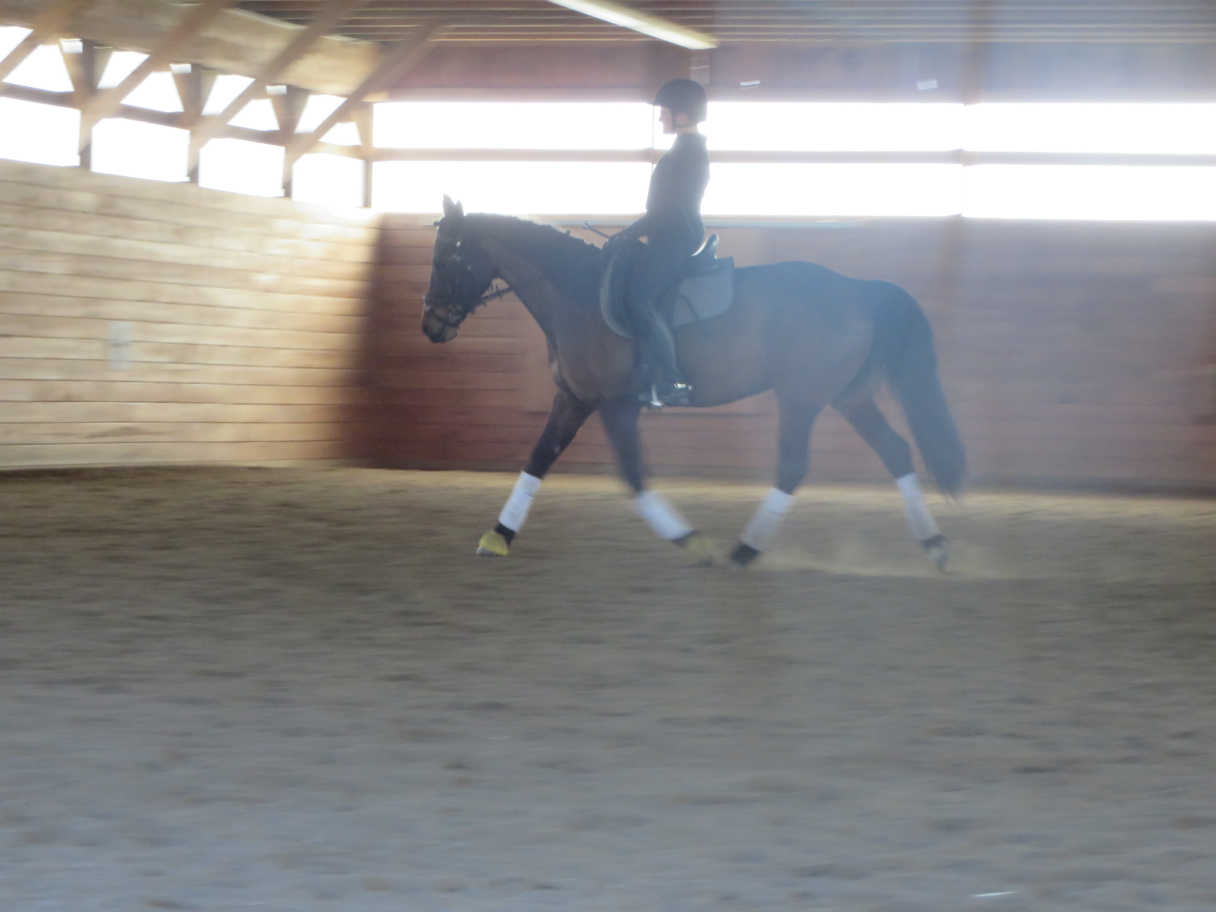 Jan Ebeling April 2017 038