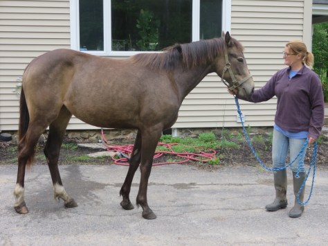 DRF Isabela Age 2 001