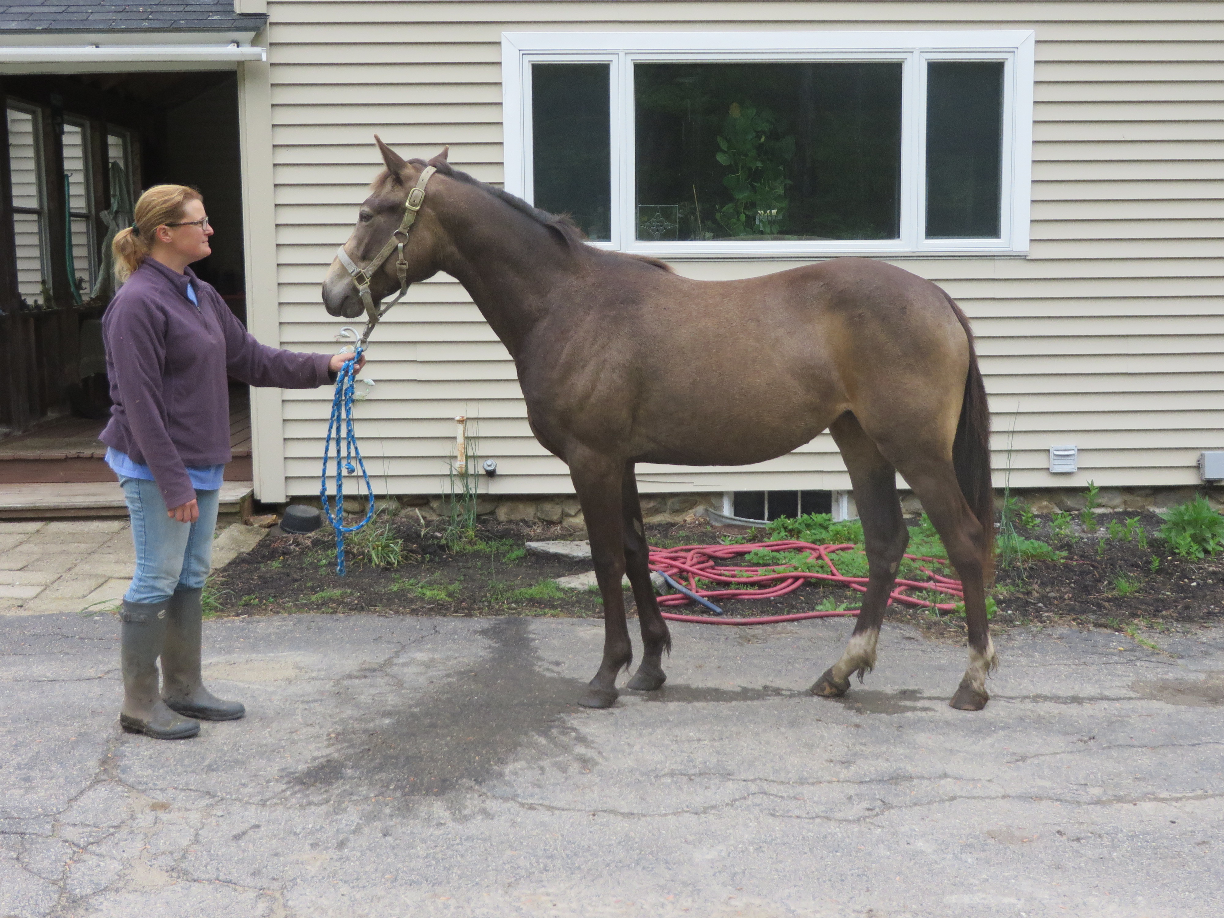 DRF Isabela Age 2 015.JPG