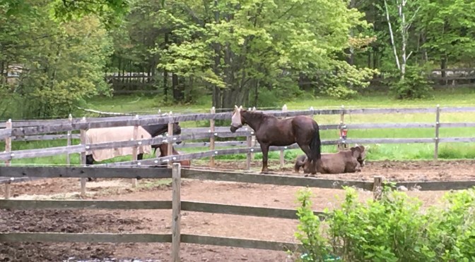 Motivation, Apathy, and “Coming About”