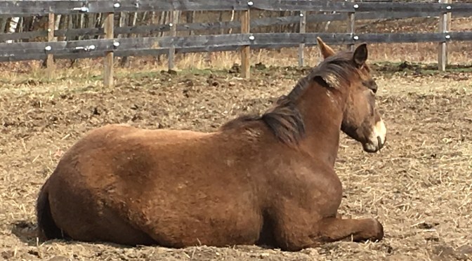 Keeping Up With the Jones’