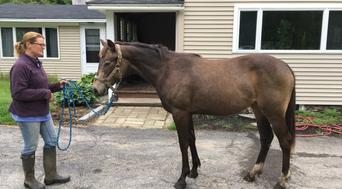 Book Review:  From Birth to Backing