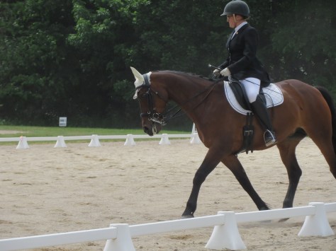 Anna Third Level Debut 027