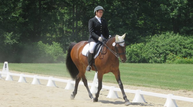 Winter Training and Spring Renewals