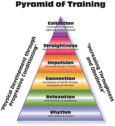 dressage-training-pyramid.jpg