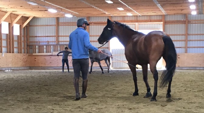 Book Review: In the Middle are the Horsemen