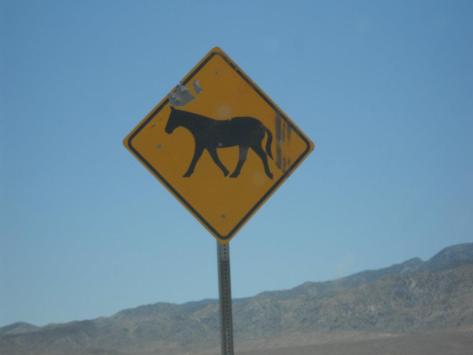 HorseSign